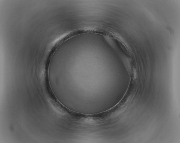 X0000114100588200910191644