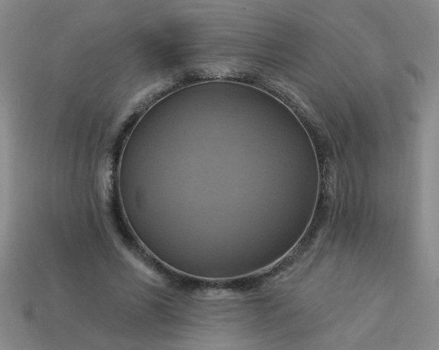 X0000114100590200910191644