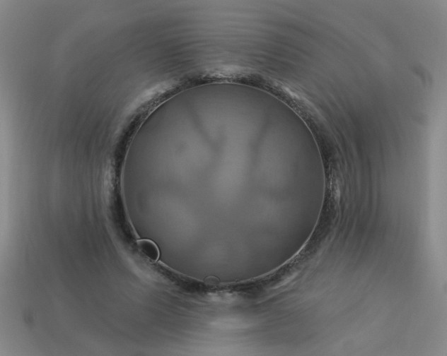 X0000114100591200910191644