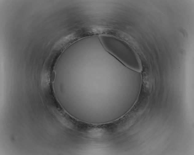 X0000114100593200910191644