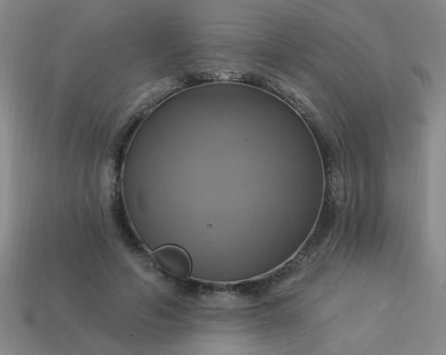 X0000114100594200910191644