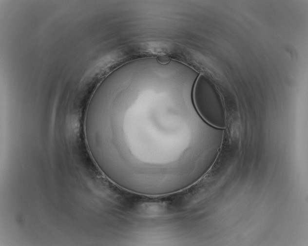 X0000114100595200910191644