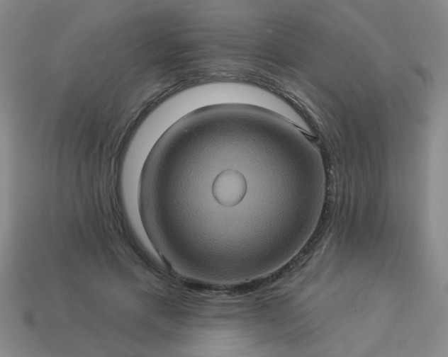 X0000114100597200910191644