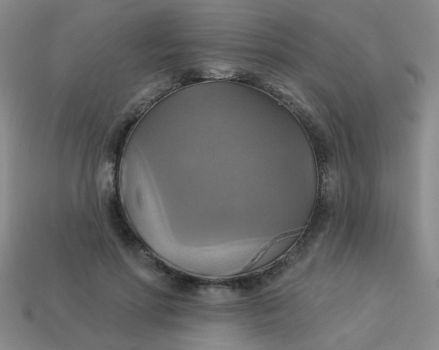 X0000114100598200910191644