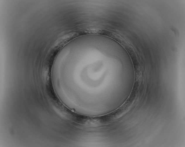 X0000114100599200910191644