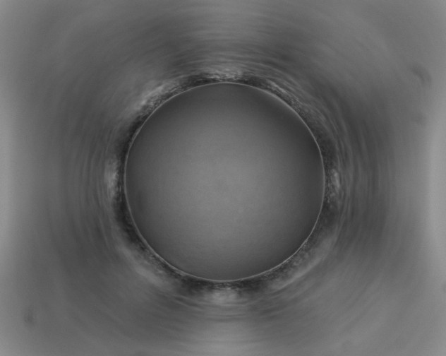 X0000114100600200910191644