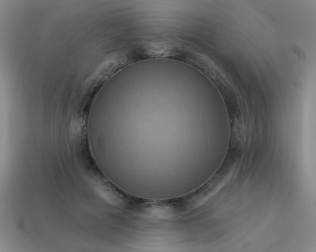 X0000114100601200910191644