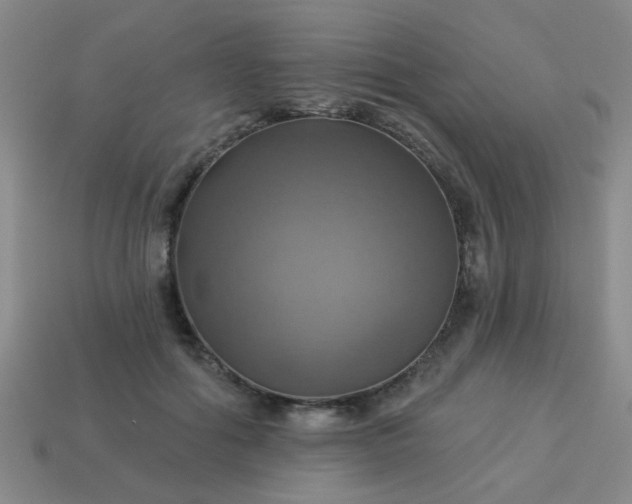 X0000114100602200910191644