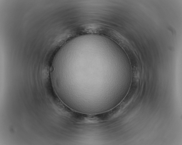 X0000114100603200910191644