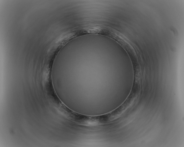 X0000114100604200910191643