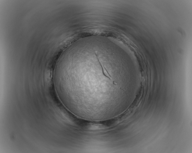 X0000114100605200910191643