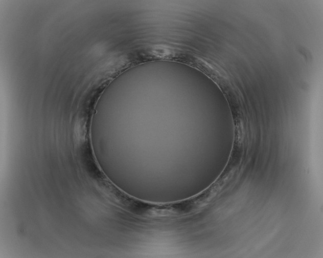 X0000114100606200910191643