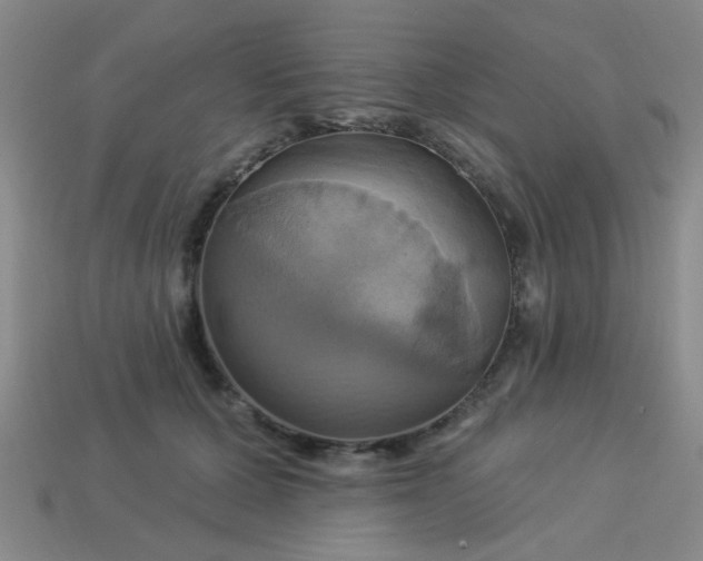 X0000114100607200910191643