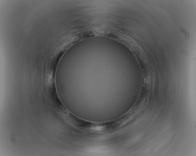 X0000114100610200910191643