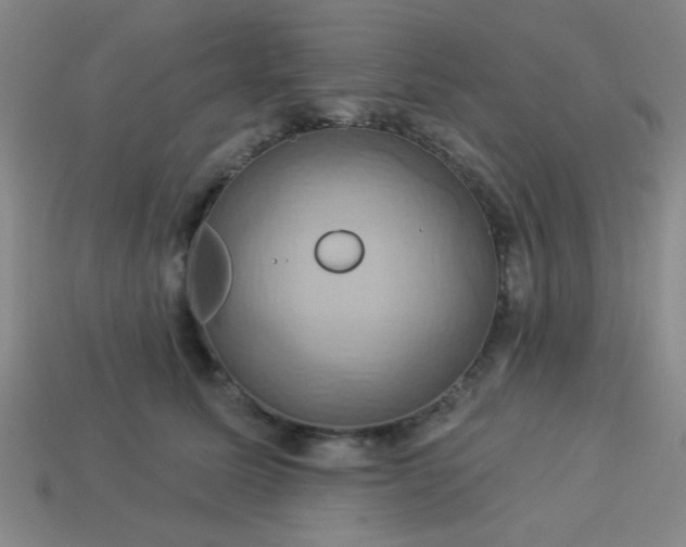 X0000114100611200910191643