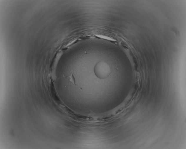 X0000114100613200910191643