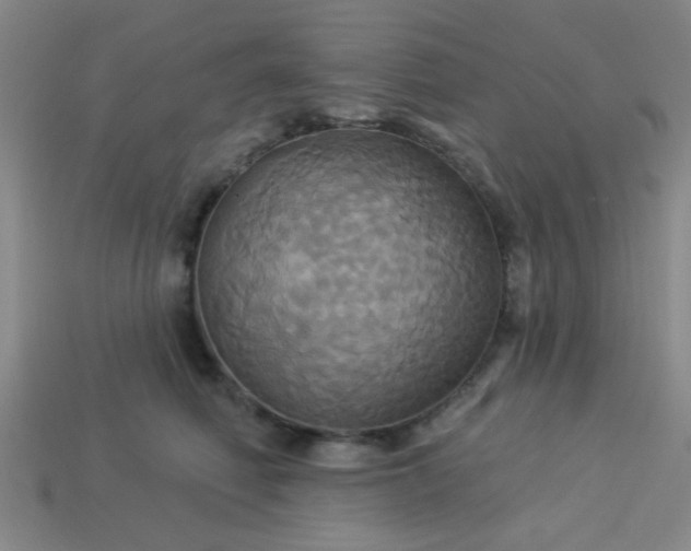 X0000114100614200910191643