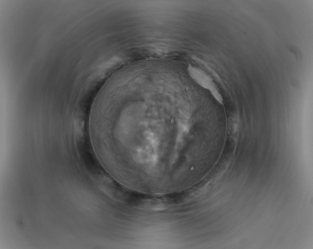 X0000114100615200910191643