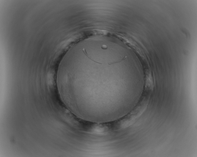 X0000114100616200910191643