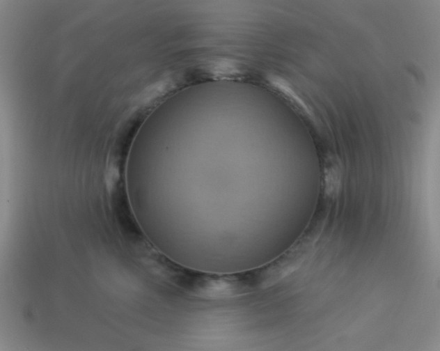 X0000114100618200910191643