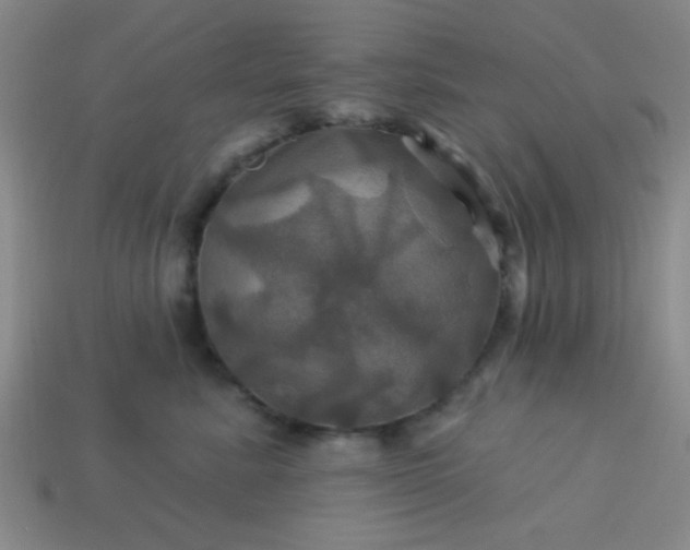 X0000114100619200910191643