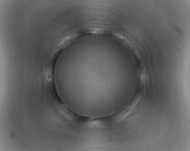 X0000114100620200910191643