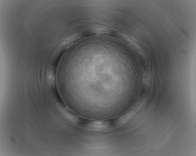 X0000114100622200910191643