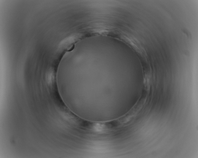 X0000114100623200910191643