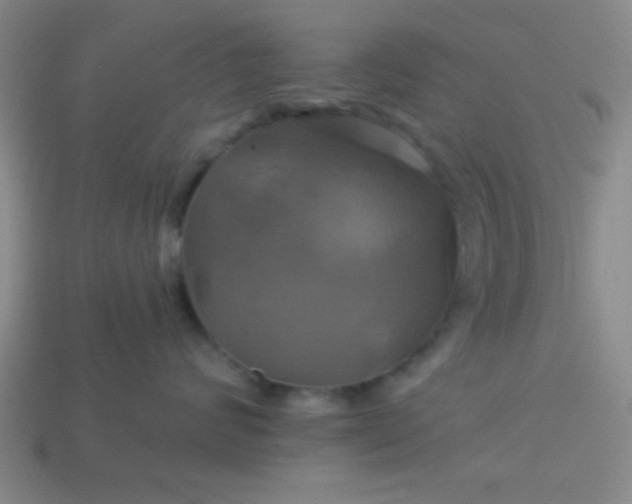 X0000114100624200910191643