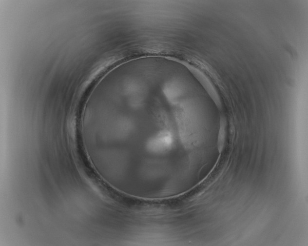 X0000114100626200910191642