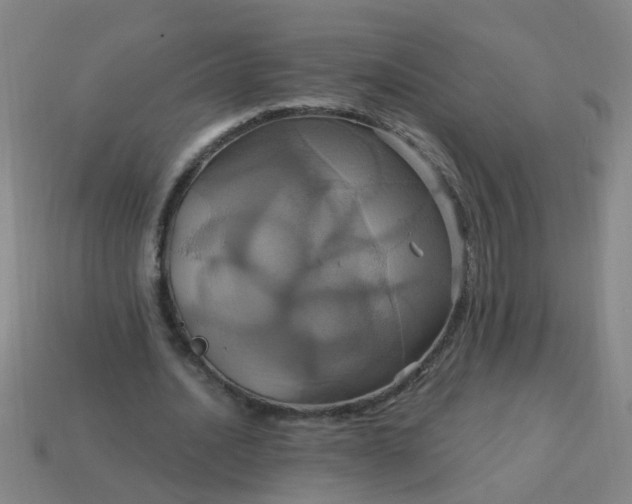 X0000114100628200910191642