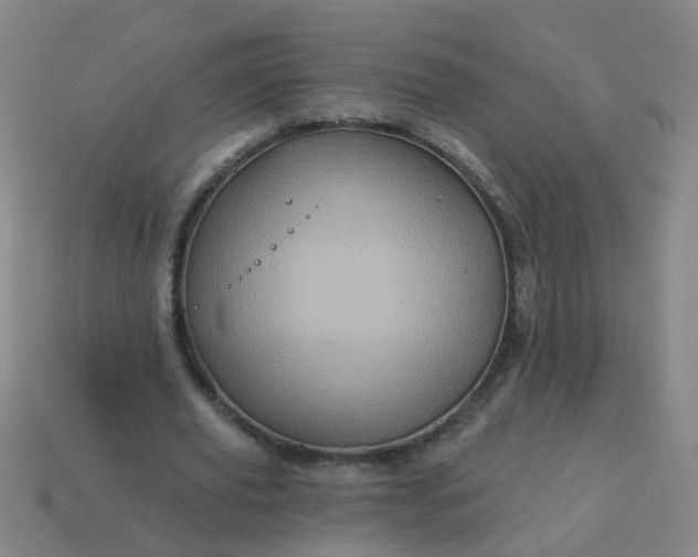 X0000114100629200910191643