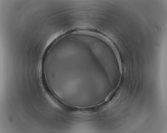 X0000114100630200910191643