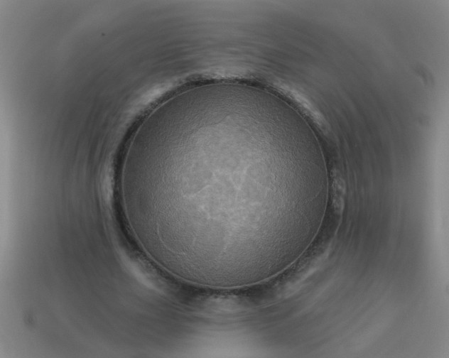 X0000114100631200910191643