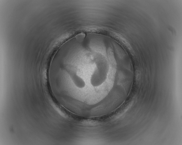 X0000114100633200910191643