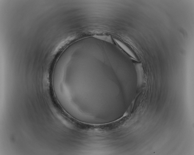 X0000114100634200910191643