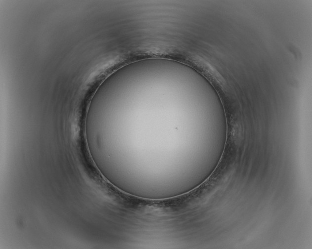 X0000114100635200910191643