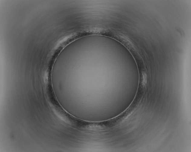 X0000114100636200910191643