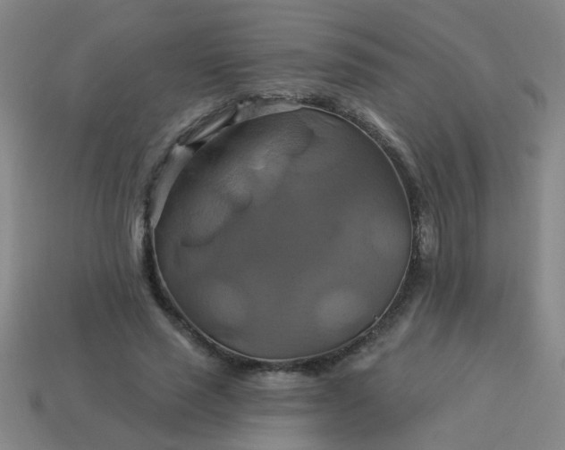 X0000114100637200910191643