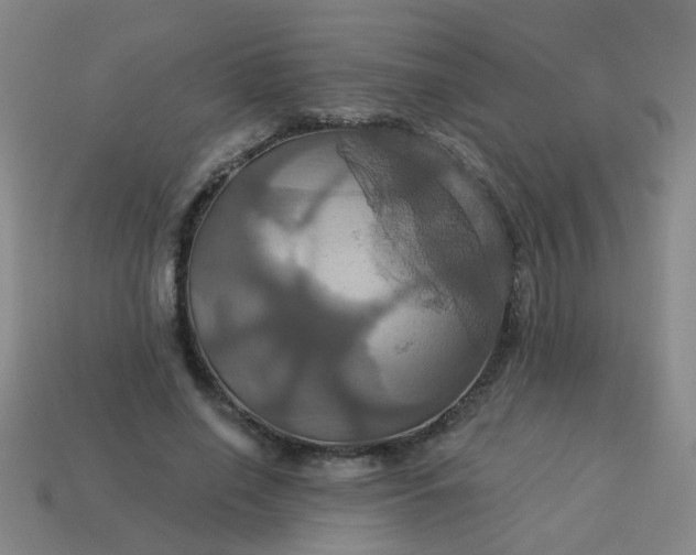 X0000114100638200910191643