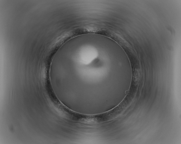 X0000114100639200910191643