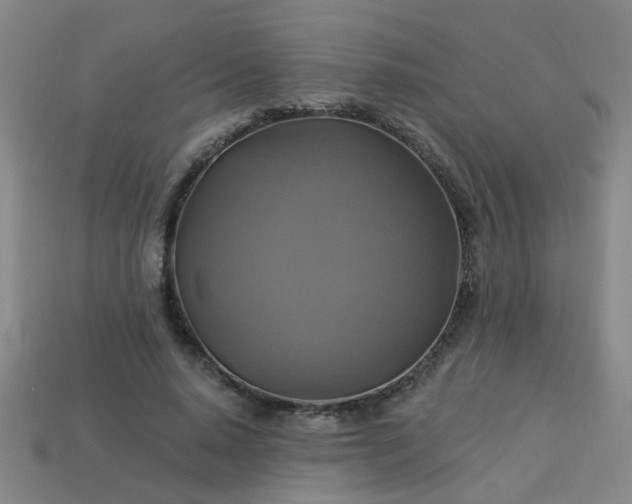 X0000114100640200910191643