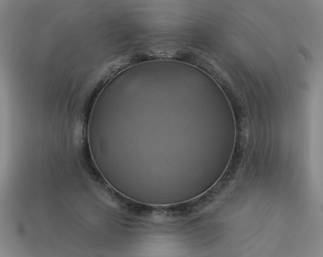 X0000114100641200910191643