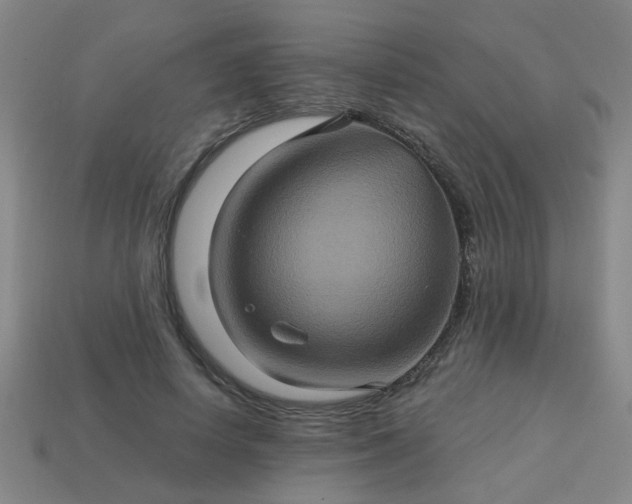 X0000114100642200910191643