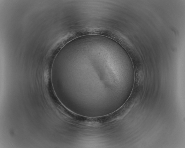 X0000114100644200910191643