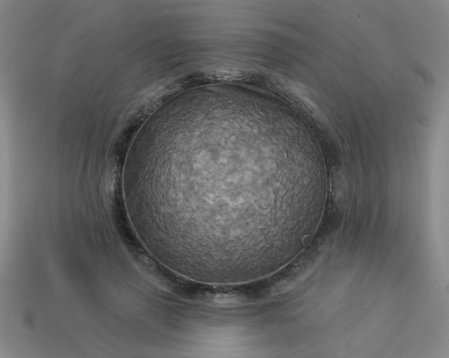 X0000114100645200910191643