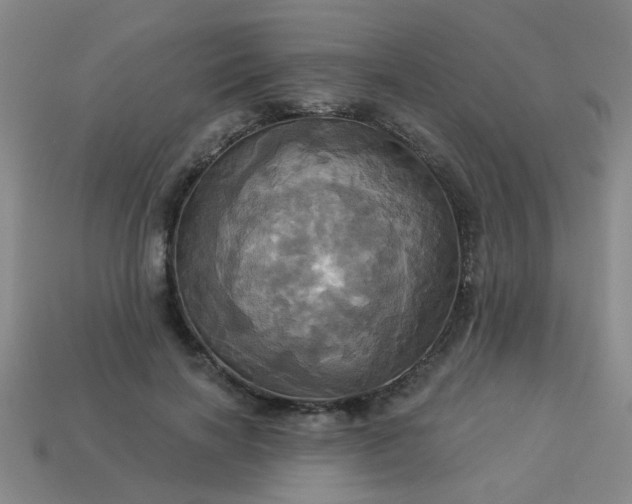 X0000114100646200910191643