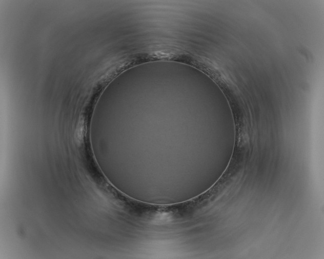 X0000114100647200910191643