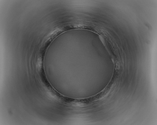 X0000114100648200910191643