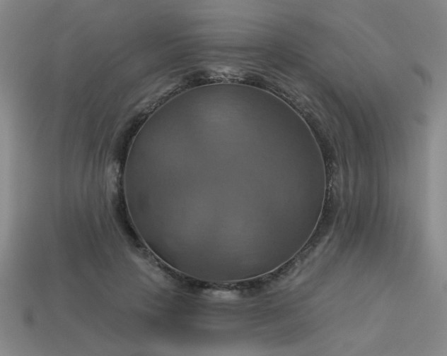 X0000114100649200910191643